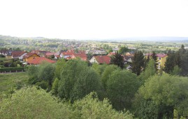 IMG_3513